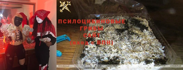 твердый Каменногорск