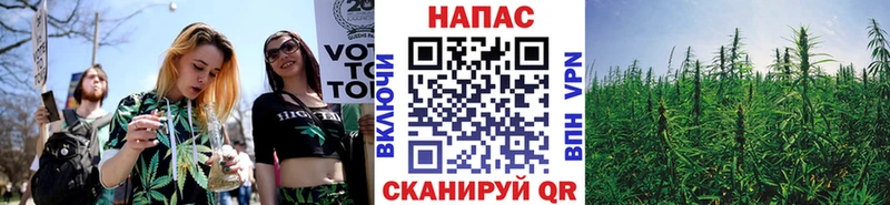 Бошки марихуана AK-47  Купить закладки  Дегтярск 